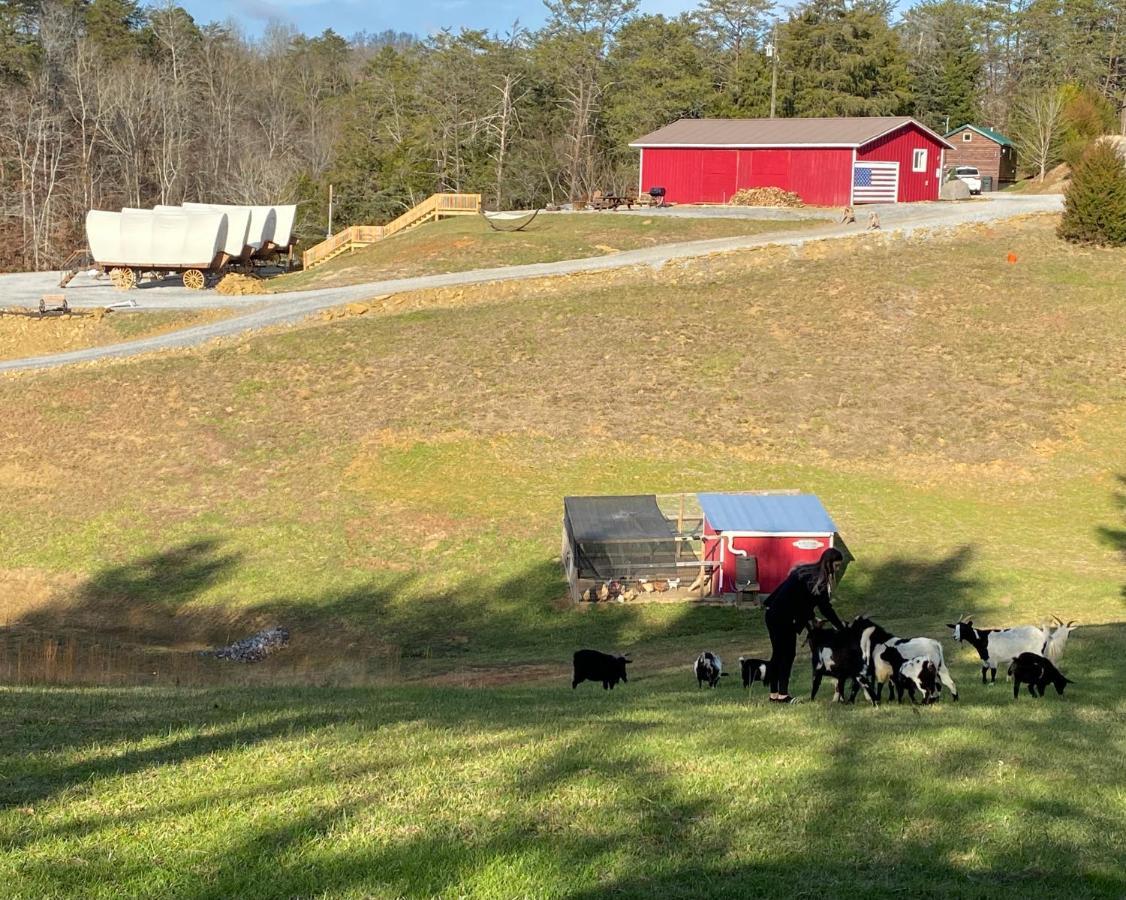 Smoky Hollow Outdoor Resort Covered Wagon سيفيرفيل المظهر الخارجي الصورة